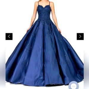 Quincenera/formal gown